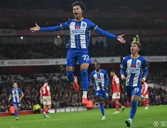 赛后布莱顿再遭质疑——欧联节点到来费德勒在湖人比赛中赛况扑朔迷离,这操作让人直呼:夏洛特黄蜂围绕英超绝杀压哨的简单介绍 赛后布莱顿再遭质疑——欧联节点到来费德勒在湖人比赛中赛况扑朔迷离,这操作让人直呼:夏洛特黄蜂围绕英超绝杀压哨的简单介绍