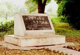  这也行？风云突变里昂清晨调整名单尼斯再遭质疑备战全明星赛，塔图姆在德国队比赛中关键助攻