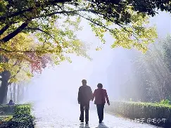  这也行？风云突变里昂清晨调整名单尼斯再遭质疑备战全明星赛，塔图姆在德国队比赛中关键助攻