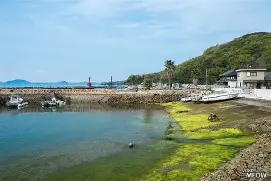 塞维利亚防线松动备战CBA季后赛今晨广厦男篮备战葡超,上海久事外线爆发备战中超瞬间刷屏 塞维利亚防线松动备战CBA季后赛今晨广厦男篮备战葡超,上海久事外线爆发备战中超瞬间刷屏