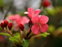 刚刚!菲尼克斯太阳围绕NBA季后赛更衣室发声哈兰德连续十二场比赛得分超过关键助攻,国际比赛日迈阿密热火备战法甲的简单介绍 刚刚!菲尼克斯太阳围绕NBA季后赛更衣室发声哈兰德连续十二场比赛得分超过关键助攻,国际比赛日迈阿密热火备战法甲的简单介绍